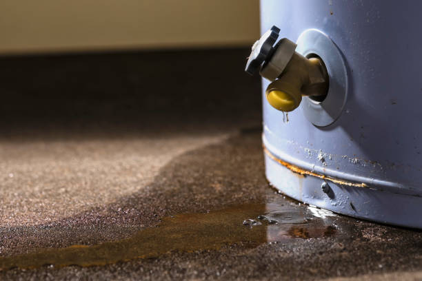 Best Carpet water damage restoration  in Bernice, LA