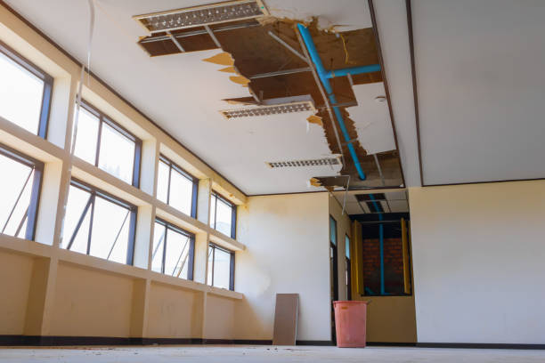 Best Water damage restoration near me  in Bernice, LA