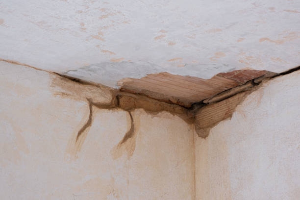 Best Water damage cleanup near me  in Bernice, LA