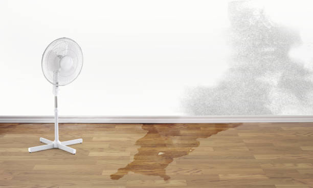 Best Sewage cleanup and water damage restoration  in Bernice, LA