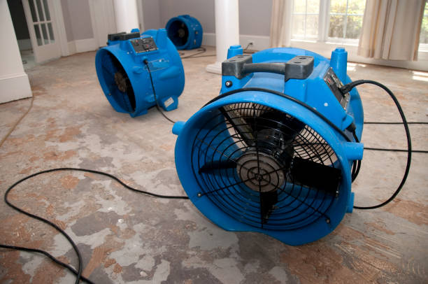 Best 24/7 water damage repair  in Bernice, LA