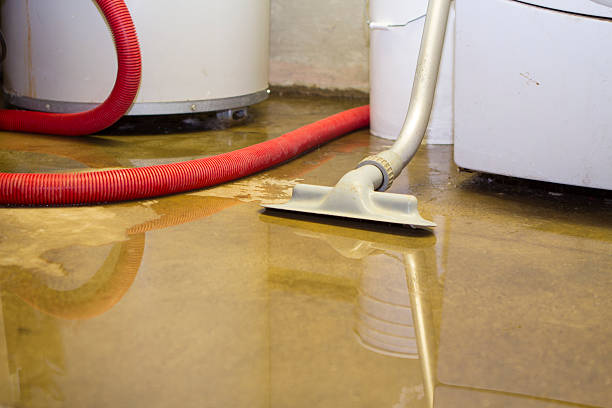Best Emergency water damage restoration  in Bernice, LA