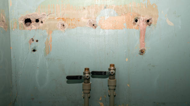  Bernice, LA Water damage restoration Pros
