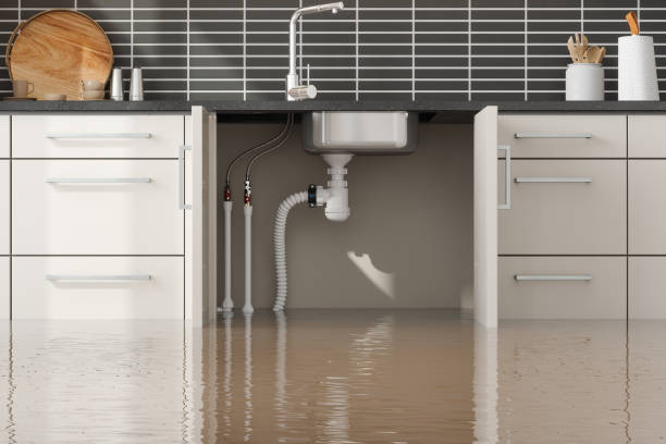 Best Ceiling water damage repair  in Bernice, LA