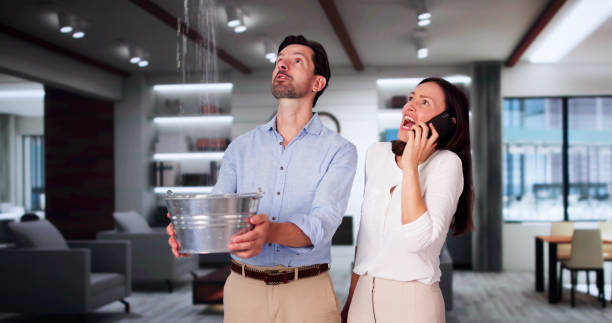 Best Water damage restoration near me  in Bernice, LA