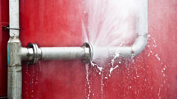 Best Local water damage restoration  in Bernice, LA