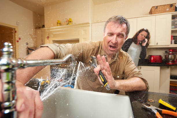 Best Basement water damage restoration  in Bernice, LA